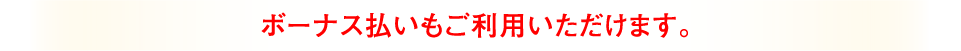 ボーナス払いもご利用いただけます