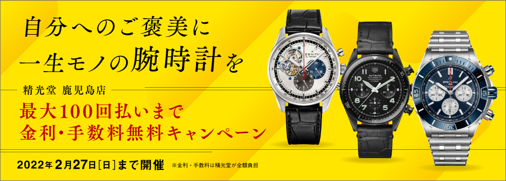 最大100回払いまで金利・手数料無料キャンペーン