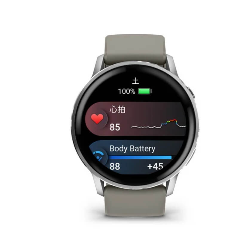 GARMIN Venu 4 45mm Silver / Gray 010-03014-31